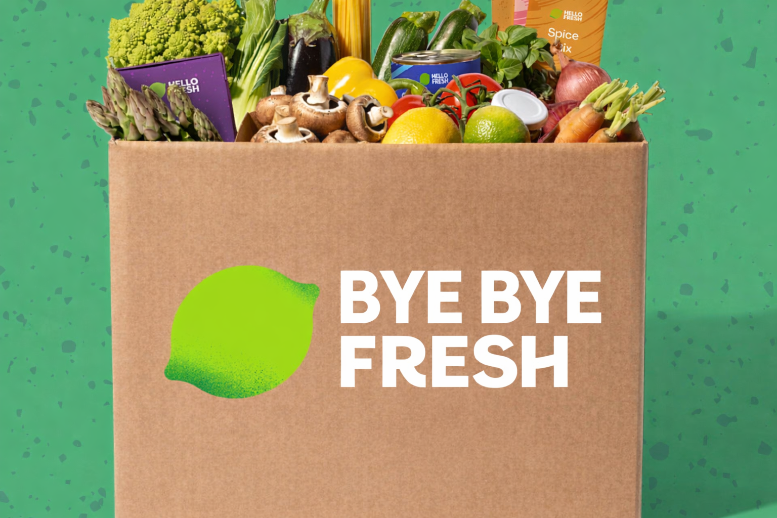 A cardboard box with food showing above the top of the box. The branding says ByeByeFresh.
