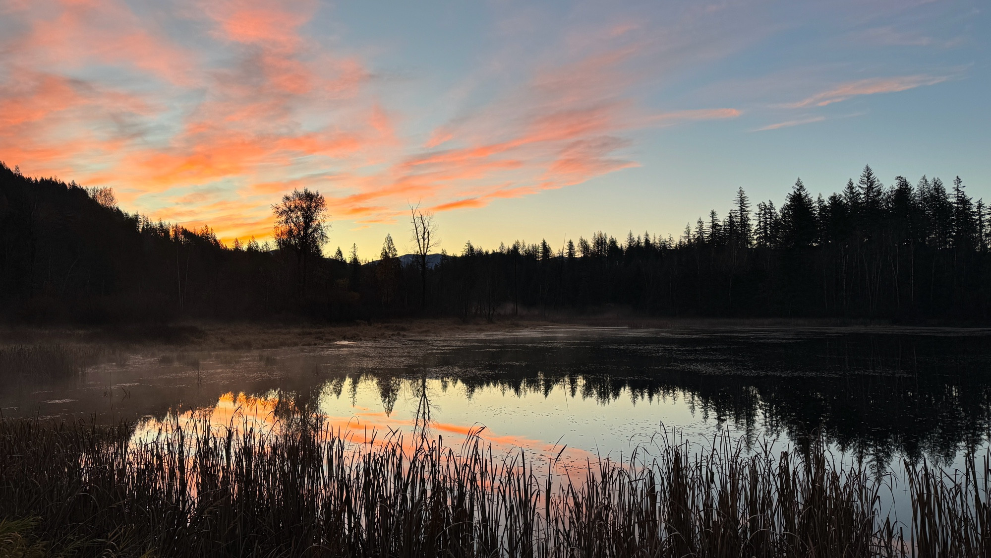 Blue sky filled with pink and grey clouds. A pond surrounded by trees in the midground and tall grasses in the foreground. The sky and trees and grasses are reflected in the pond’s still as glass water. 